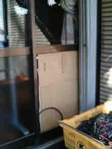 �J�[�|�[�g�{�H