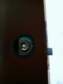 �J�[�|�[�g�{�H